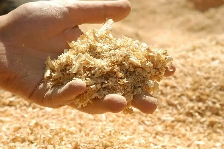 sawdust